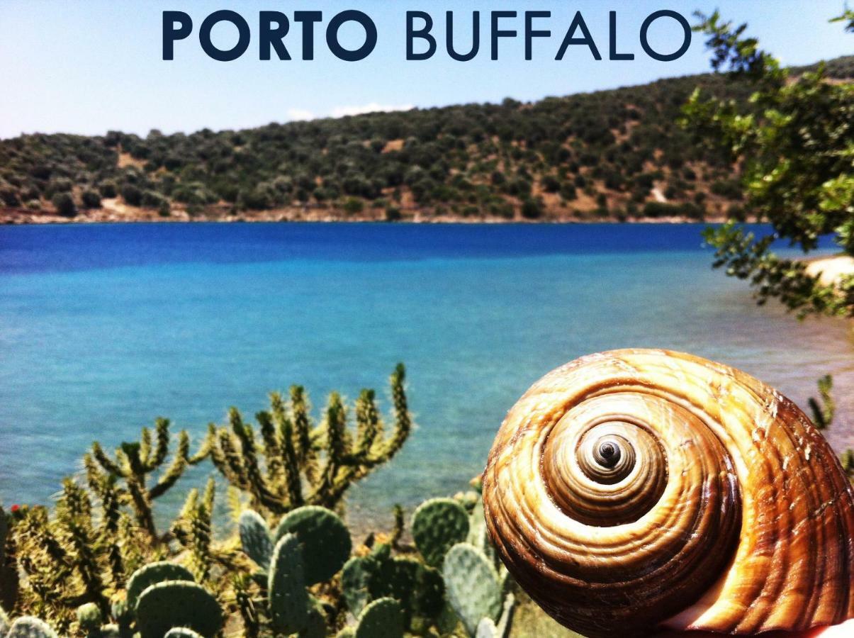 Sea Front Studio - Porto Boufalo - Evia Exteriör bild